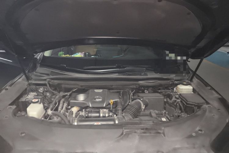 Used Lexus RX 2020 300 Two-Wheel Drive Comfort Edition China VI Standard Engine Bay