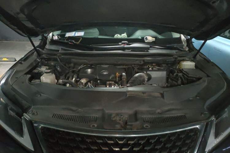 Used Lexus RX 2020 Revised Version 300 Two-Wheel Drive Comfort Edition Engine Bay