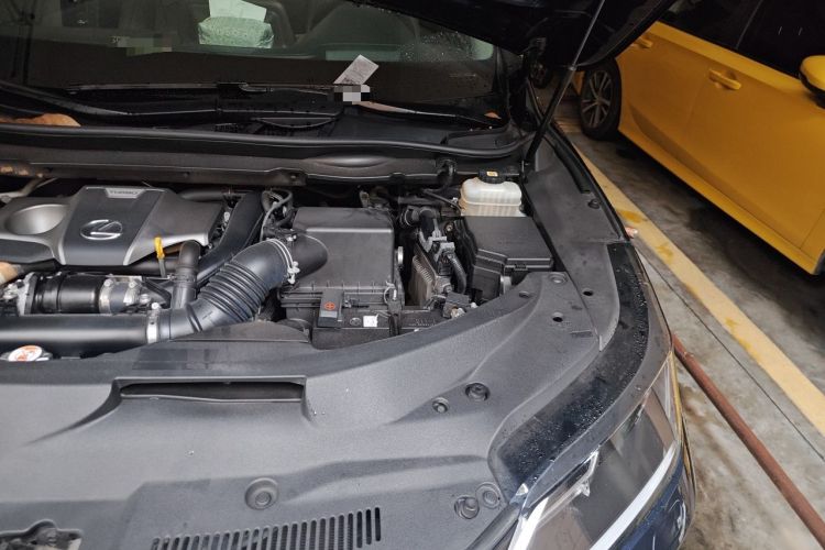 Used Lexus RX 2020 Revised Version 300 Two-Wheel Drive Comfort Edition Engine Bay Left