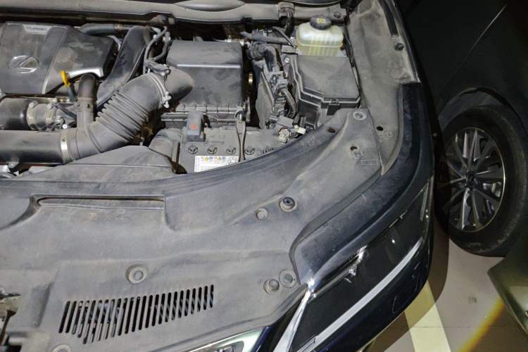 Used Lexus RX 2020 Revised Version 300 Two-Wheel Drive Elite Edition Engine Bay Left