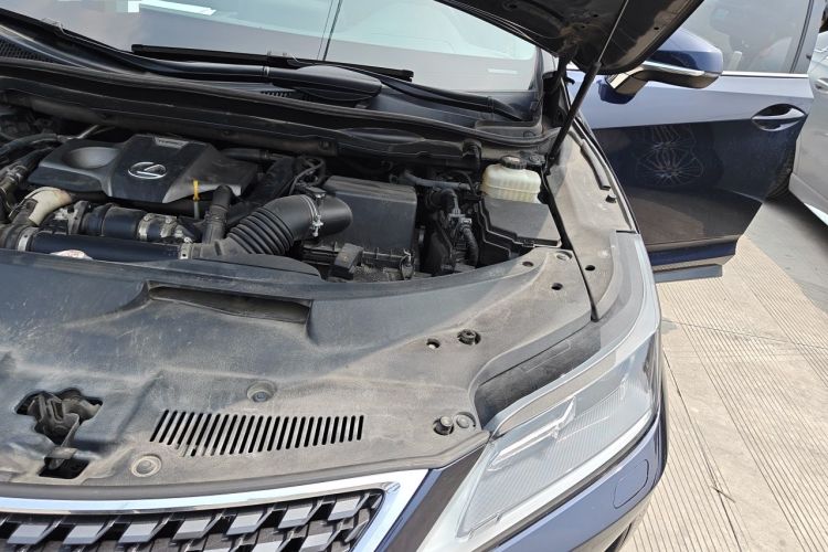 Used Lexus RX 2020 300 Two-Wheel Drive Elite Edition China VI Standard Engine Bay Left