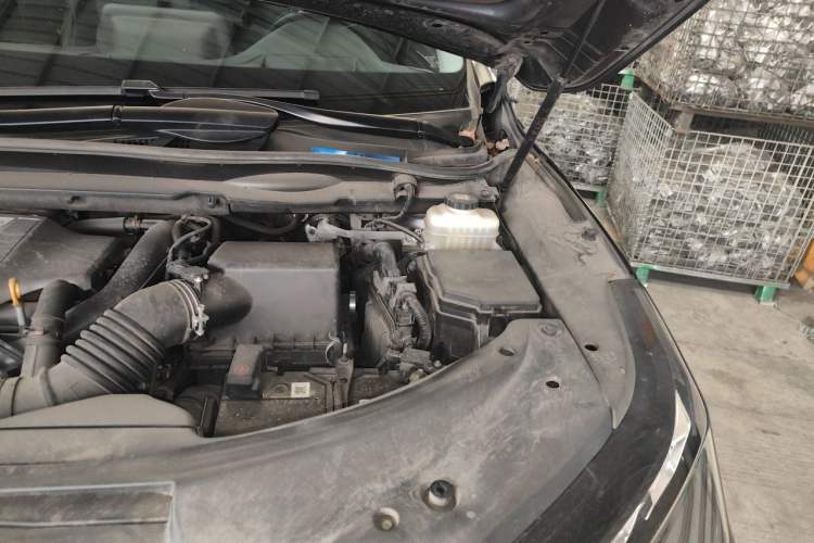 Used Lexus RX 2020 300 4x4 Elegant Edition China V Standard Engine Bay Left