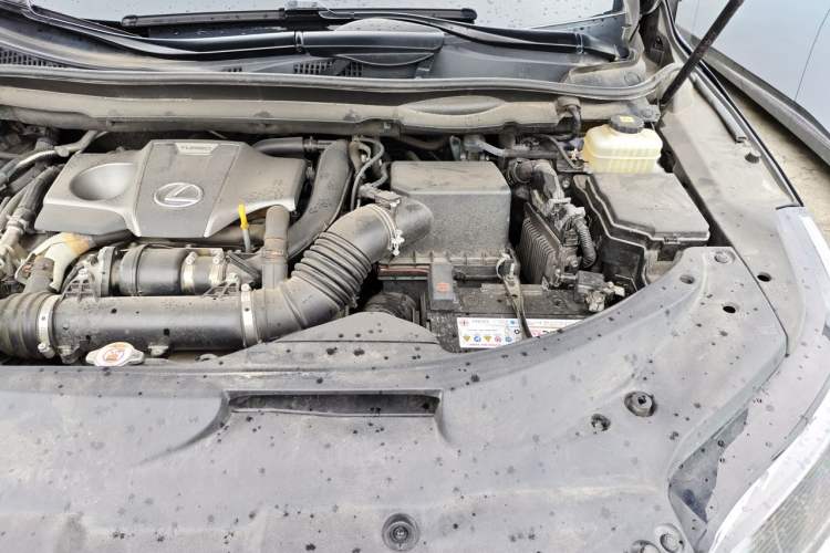 Used Lexus RX 2020 Facelifted 300 4x4 Elegant Edition Engine Bay Left