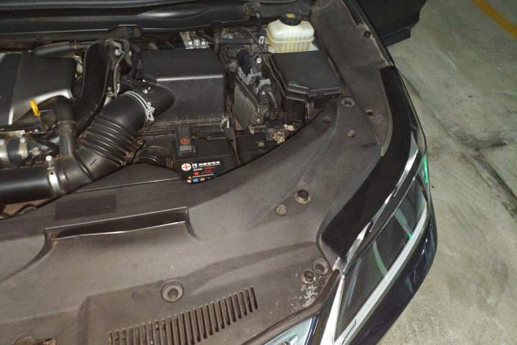 Used Lexus RX 2020 300 4x4 Elegant Edition China VI Engine Bay Left