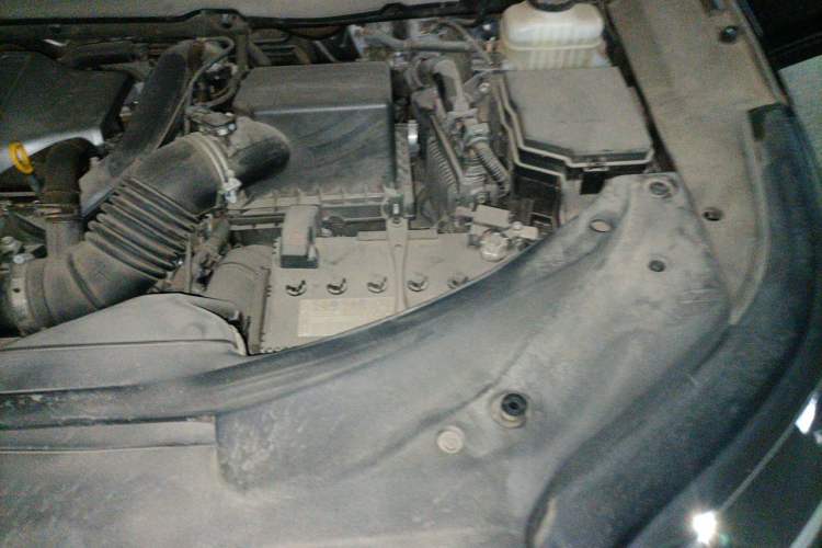 Used Lexus RX 2020 300 Two-Wheel Drive Elite Version China V Standard Engine Bay Left
