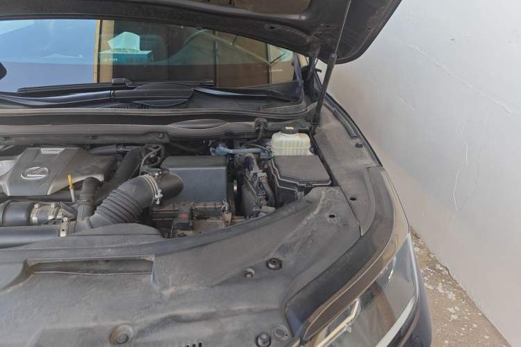 Used Lexus RX 2020 Revised Version 300 Two-Wheel Drive Elite Edition Engine Bay Left