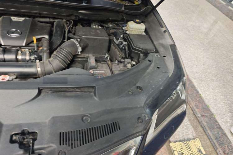 Used Lexus RX 2020 300 Two-Wheel Drive Elite Edition China VI Standard Engine Bay Left