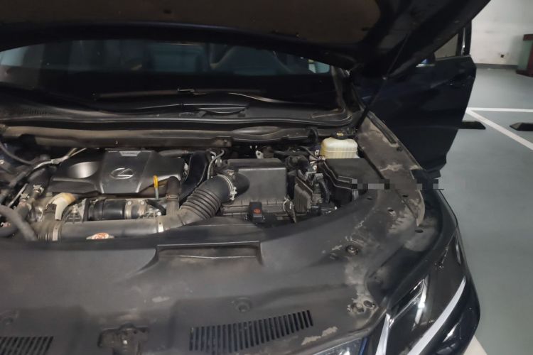 Used Lexus RX 2020 Revised Version 300 Two-Wheel Drive Elite Edition Engine Bay Left