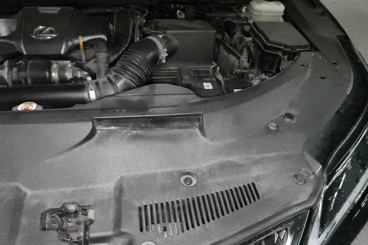 Used Lexus RX 2020 300 Two-Wheel Drive Comfort Edition China VI Standard Engine Bay Left