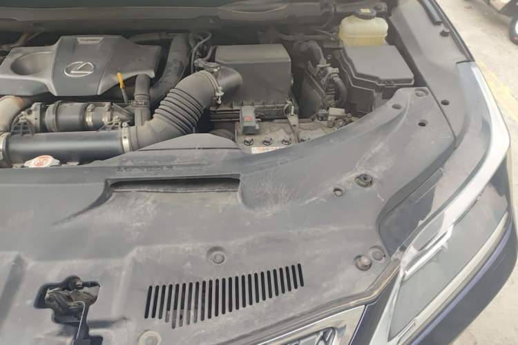 Used Lexus RX 2020 Revised Version 300 Two-Wheel Drive Comfort Edition Engine Bay Left