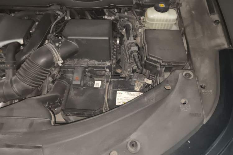 Used Lexus RX 2020 300 Two-Wheel Drive Comfort Edition China VI Standard Engine Bay Left