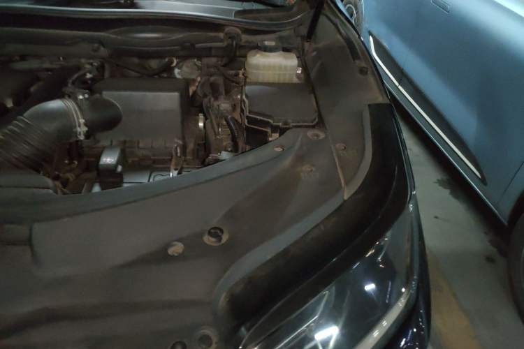Used Lexus RX 2020 Revised Version 300 Two-Wheel Drive Comfort Edition Engine Bay Left