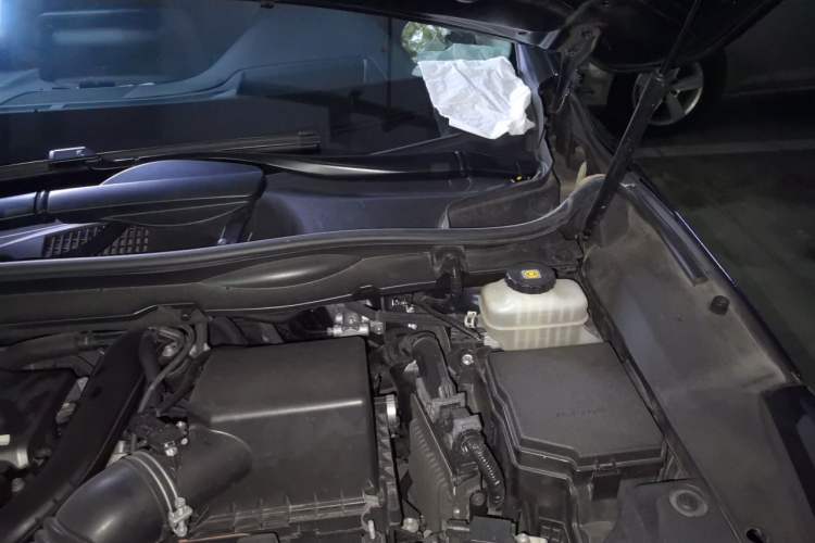 Used Lexus RX 2020 Facelifted 300 4x4 Elegant Edition Engine Bay Left