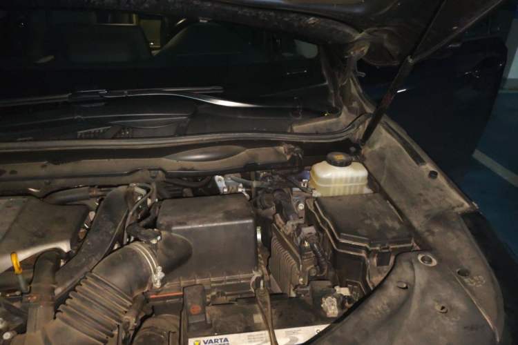 Used Lexus RX 2020 300 4x4 Elegant Edition China VI Engine Bay Left