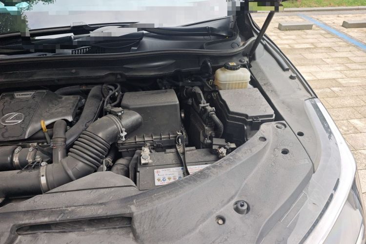 Used Lexus RX 2020 Revised Version 300 Two-Wheel Drive Elite Edition Engine Bay Left