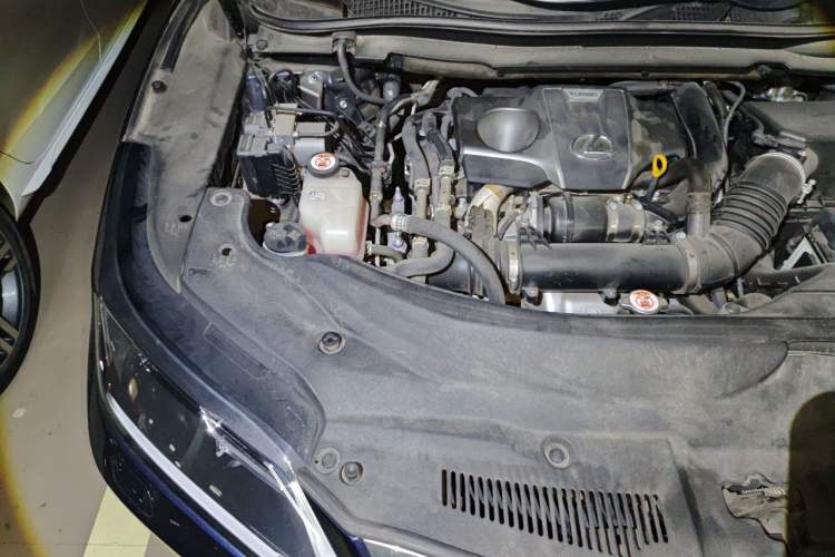Used Lexus RX 2020 Revised Version 300 Two-Wheel Drive Elite Edition Engine Bay Right