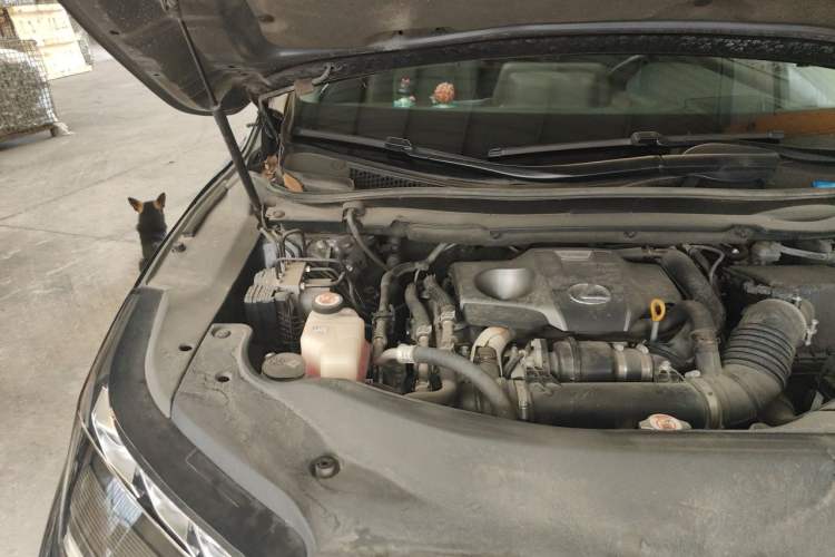 Used Lexus RX 2020 300 4x4 Elegant Edition China V Standard Engine Bay Right