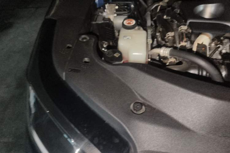 Used Lexus RX 2020 Revised Version 300 Two-Wheel Drive Elite Edition Engine Bay Right