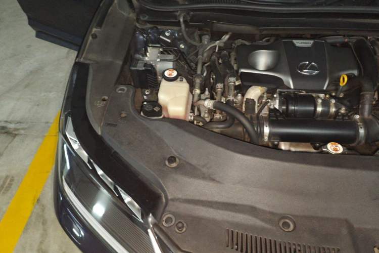 Used Lexus RX 2020 300 4x4 Elegant Edition China VI Engine Bay Right