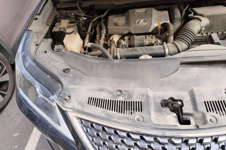 Used Lexus RX 2020 Revised Version 300 Two-Wheel Drive Comfort Edition Engine Bay Right