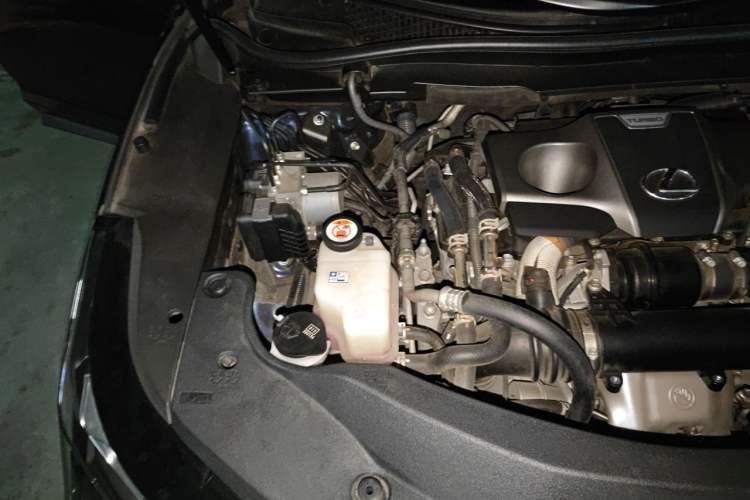 Used Lexus RX 2020 Facelifted 300 4x4 Elegant Edition Engine Bay Right