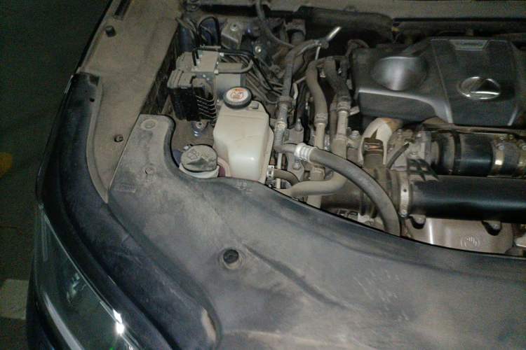 Used Lexus RX 2020 300 Two-Wheel Drive Elite Version China V Standard Engine Bay Right