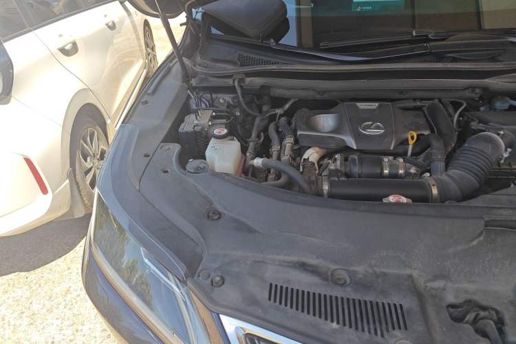 Used Lexus RX 2020 Revised Version 300 Two-Wheel Drive Elite Edition Engine Bay Right