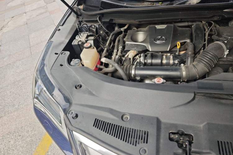 Used Lexus RX 2020 300 Two-Wheel Drive Elite Edition China VI Standard Engine Bay Right
