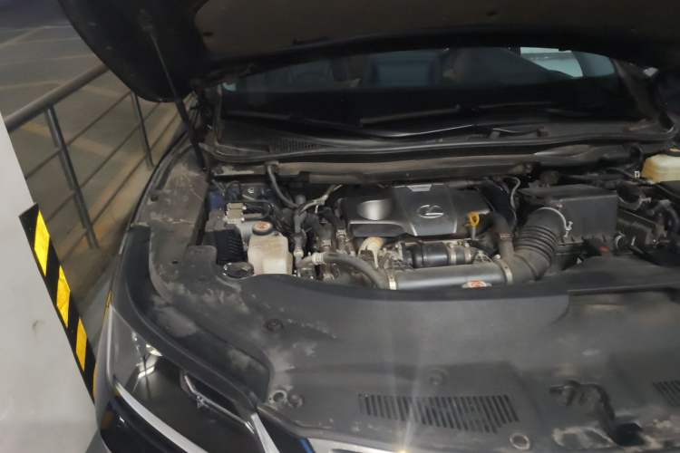 Used Lexus RX 2020 Revised Version 300 Two-Wheel Drive Elite Edition Engine Bay Right