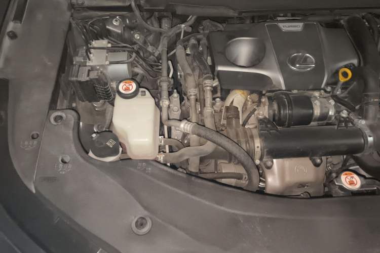 Used Lexus RX 2020 300 Two-Wheel Drive Comfort Edition China VI Standard Engine Bay Right