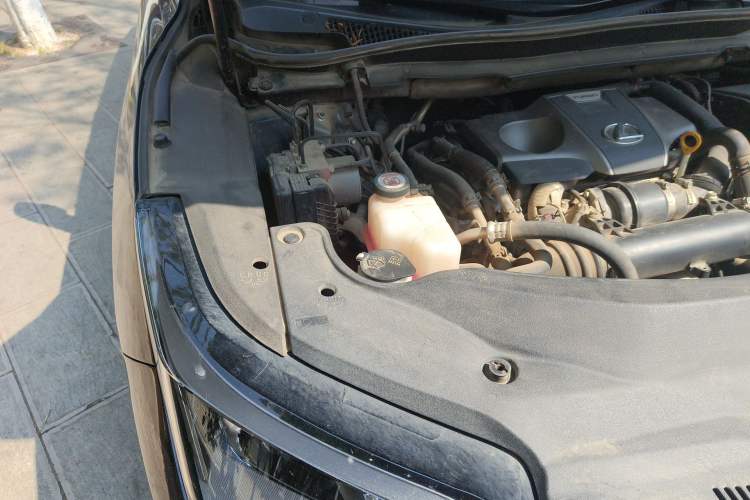 Used Lexus RX 2020 300 Two-Wheel Drive Comfort Edition China VI Standard Engine Bay Right