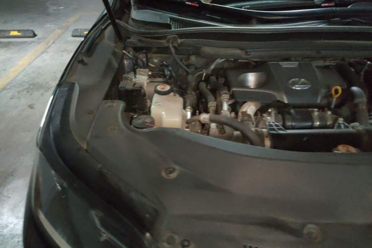 Used Lexus RX 2020 Revised Version 300 Two-Wheel Drive Comfort Edition Engine Bay Right