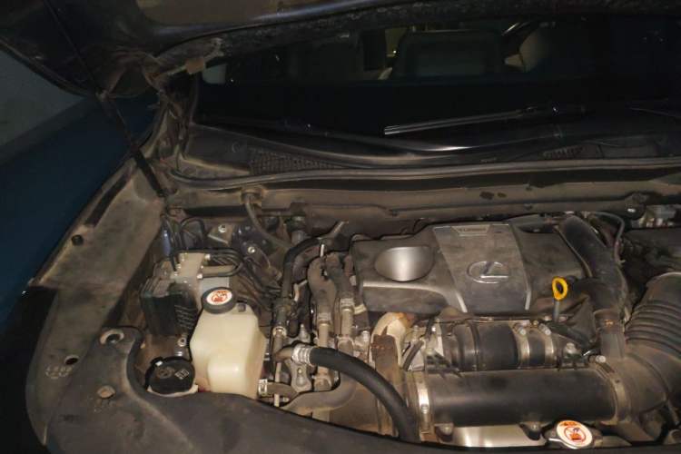 Used Lexus RX 2020 300 4x4 Elegant Edition China VI Engine Bay Right