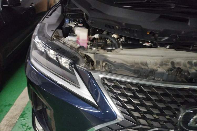 Used Lexus RX 2020 Facelifted 300 4x4 Elegant Edition Engine Bay Right
