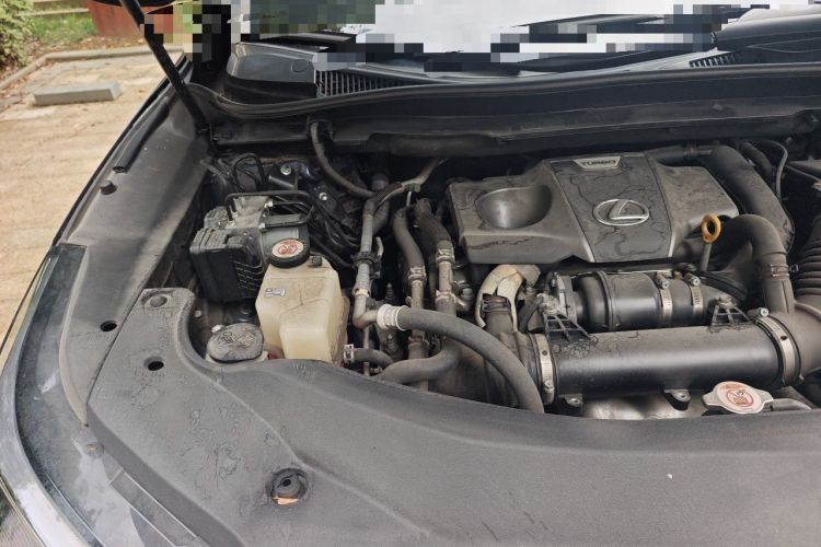 Used Lexus RX 2020 Revised Version 300 Two-Wheel Drive Elite Edition Engine Bay Right