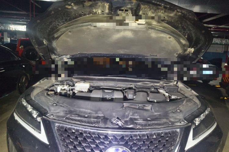 Used Lexus RX 2020 450hL Four-Wheel Drive Luxury Edition 6-Seater China VI Standard Engine Bay