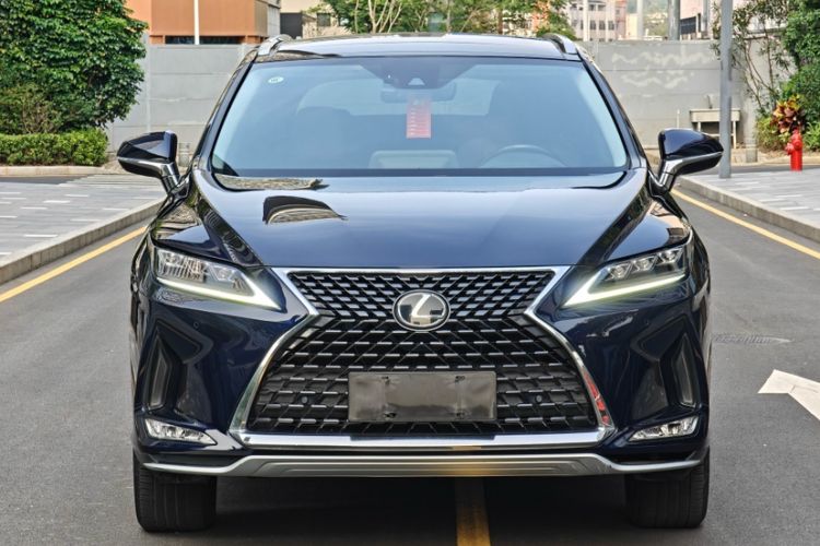 Used Lexus RX 2020 Facelifted 300 4x4 Elegant Edition Exterior 1
