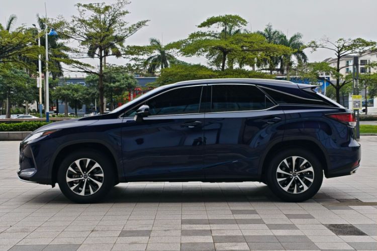 Used Lexus RX 2020 Revised Version 300 Two-Wheel Drive Elite Edition Exterior 10