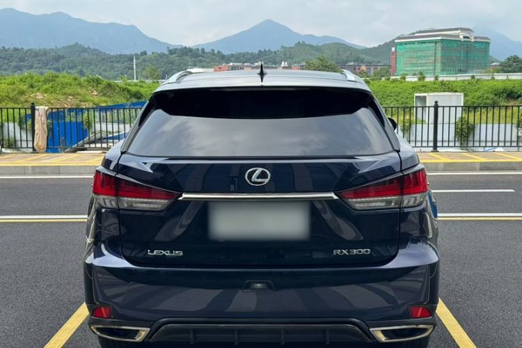 Used Lexus RX 2020 300 4x4 F SPORT China VI Exterior 4