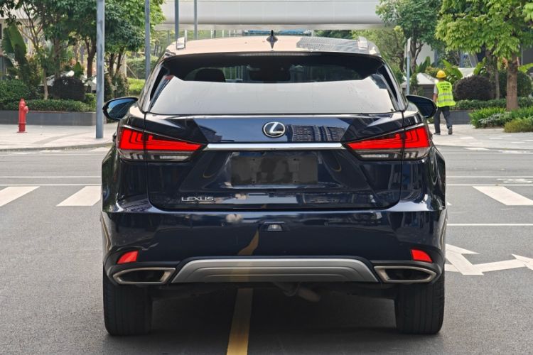 Used Lexus RX 2020 Facelifted 300 4x4 Elegant Edition Exterior 4