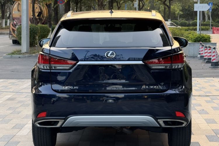 Used Lexus RX 2020 300 Two-Wheel Drive Elite Version China V Standard Exterior 4