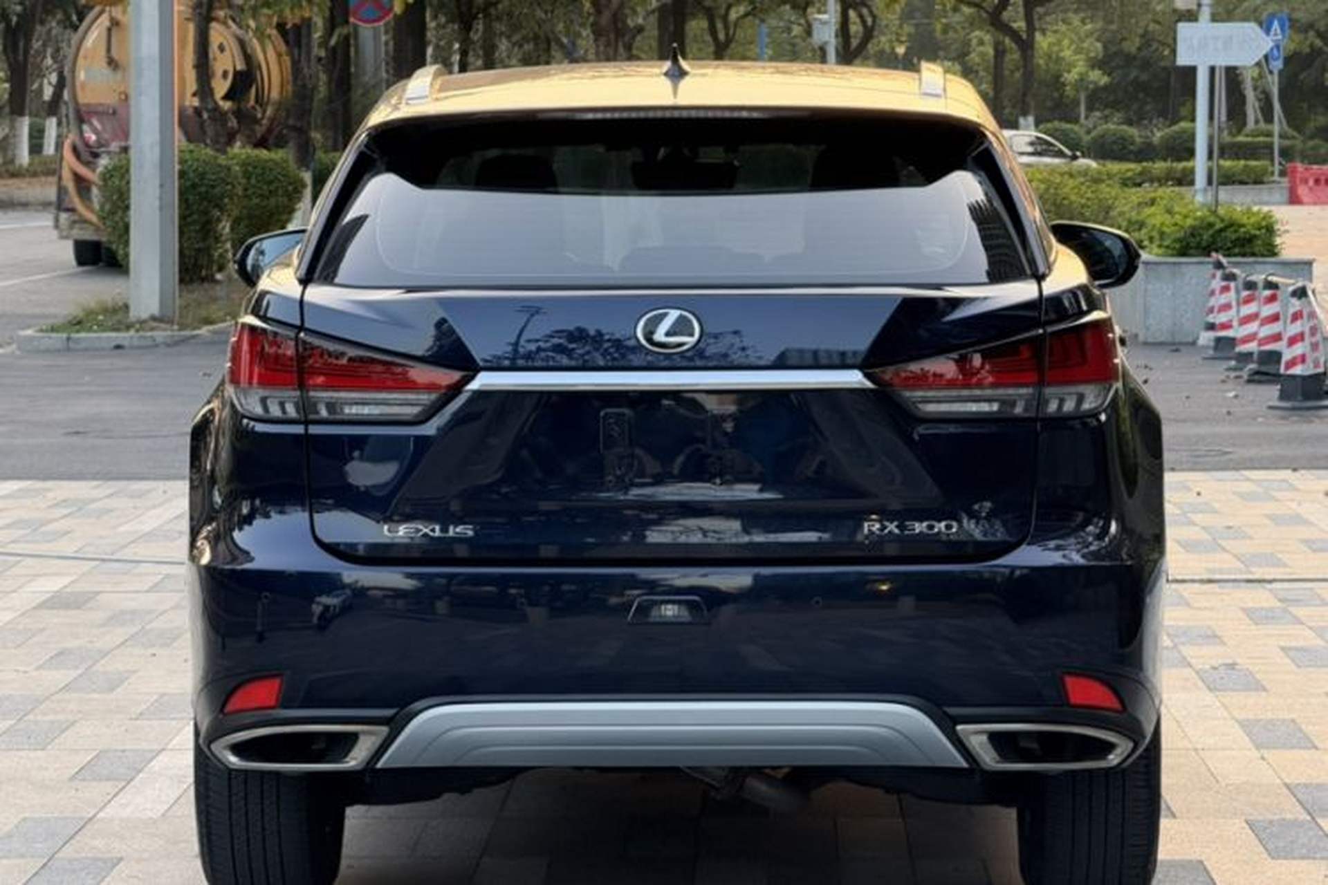Used Lexus RX 2020 300 Two-Wheel Drive Elite Version China V Standard Exterior 4