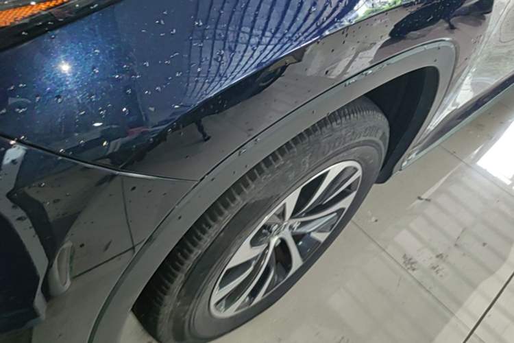 Used Lexus RX 2020 Revised Version 300 Two-Wheel Drive Elite Edition Exterior 4