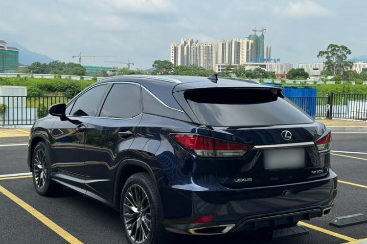 Used Lexus RX 2020 300 4x4 F SPORT China VI Exterior 5