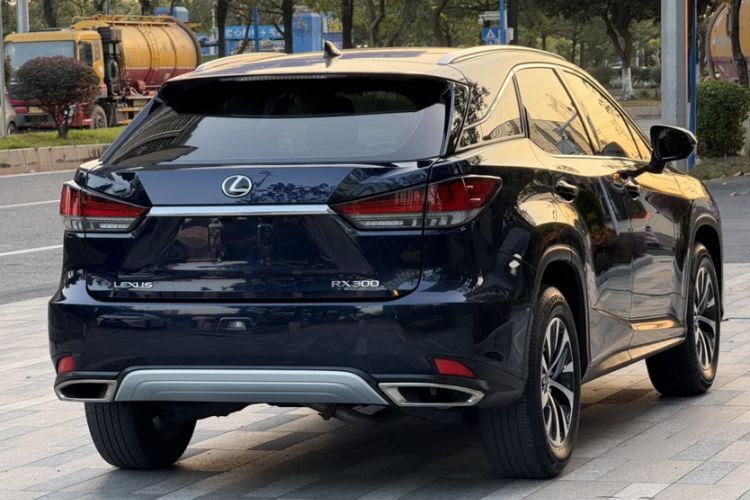 Used Lexus RX 2020 300 Two-Wheel Drive Elite Version China V Standard Exterior 5
