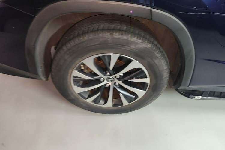 Used Lexus RX 2020 Revised Version 300 Two-Wheel Drive Comfort Edition Exterior 5