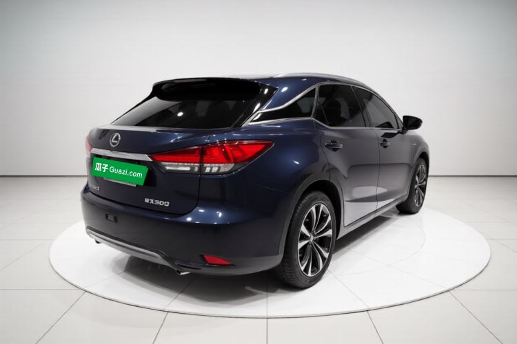 Used Lexus RX 2020 Facelifted 300 4x4 Elegant Edition Exterior 5