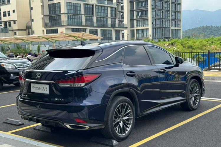 Used Lexus RX 2020 300 4x4 F SPORT China VI Exterior 9