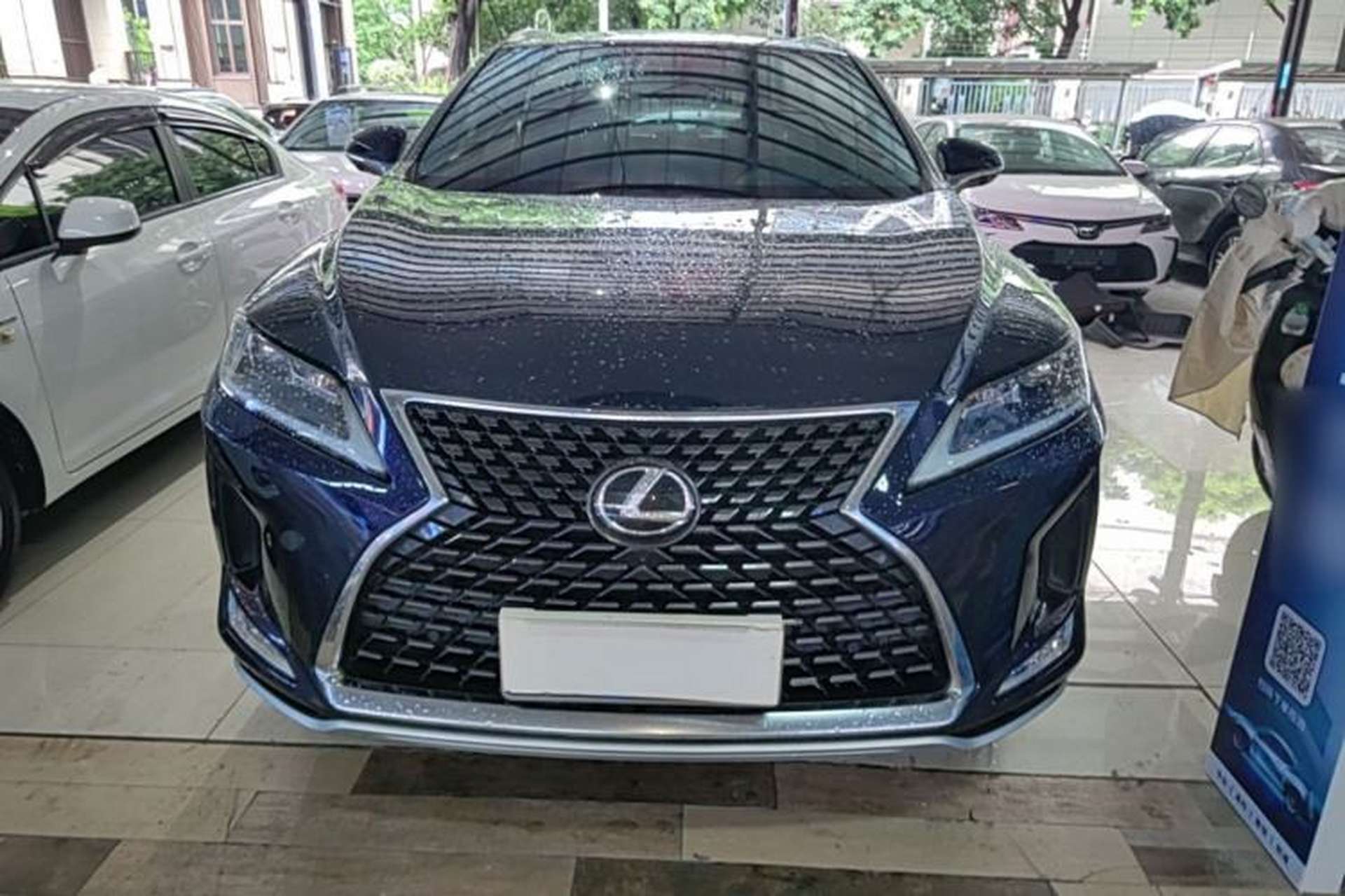 Used Lexus RX 2020 Revised Version 300 Two-Wheel Drive Elite Edition Front