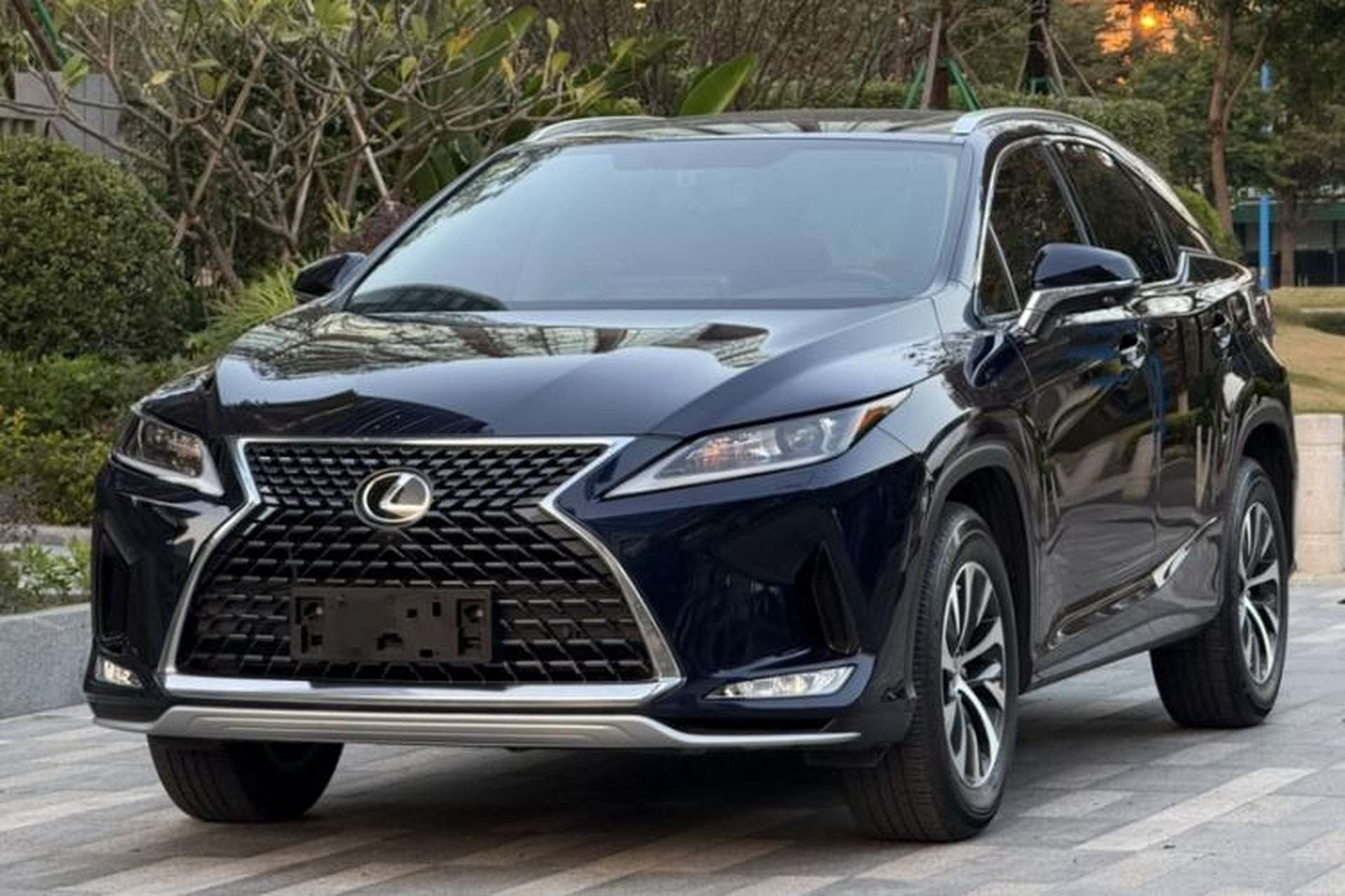 Used Lexus RX 2020 300 Two-Wheel Drive Elite Version China V Standard Front Left 45 Deg